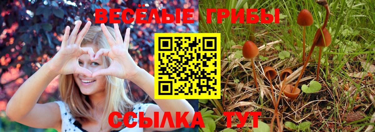 Вольск  Псилоцибиновые грибы мухоморы  продажа наркотиков  Вход с VPN 